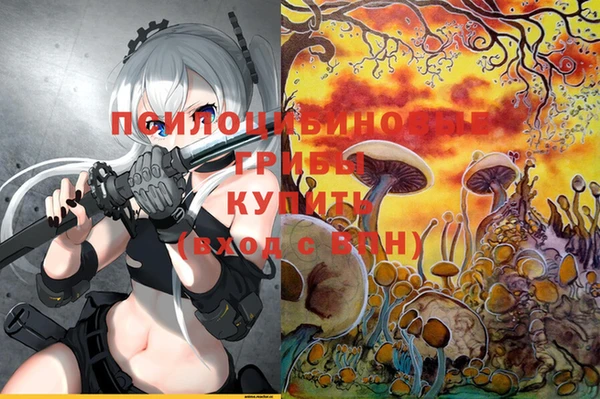круглые Алексеевка