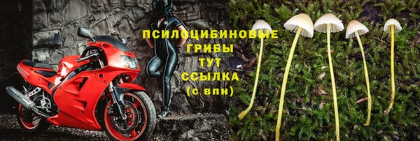 прущие крисы Алзамай