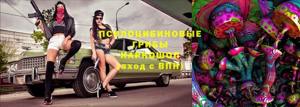 круглые Алексеевка