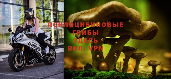 прущие крисы Алзамай