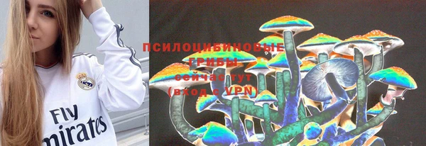 круглые Алексеевка