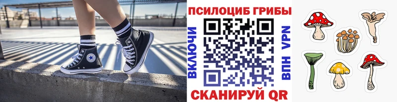 Псилоцибиновые грибы Magic Shrooms  Набережные Челны 